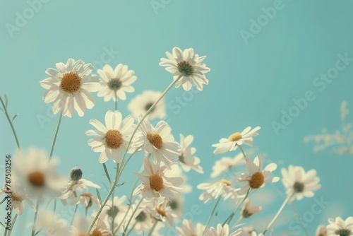 A Bunch of Daisies in a Vase