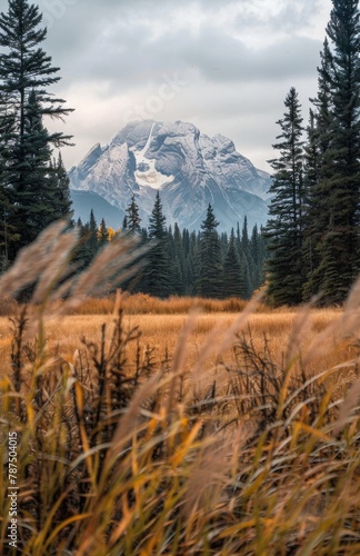 Mountain Range in the Distance