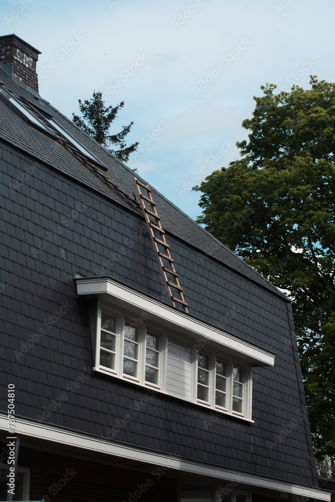 special architecture of Holland small houses special architecture of Holland small houses