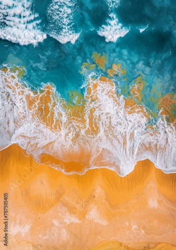 Aerial View of Beach and Ocean