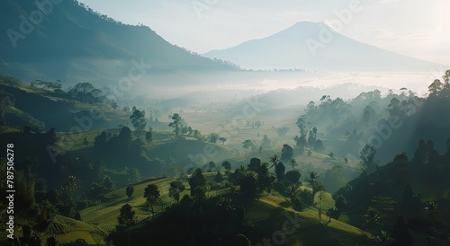 Aerial View of Forest With Mountain Background