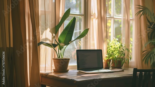 **Image Description:**  A wooden desk with a laptop and a potted plant on it. The desk is placed in front of a window with white curtains.