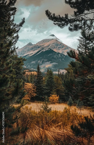 Mountain View Through Trees