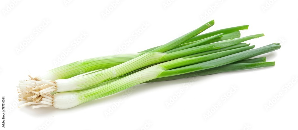 Green onion placed alone on a white background Green onion placed alone on a white background