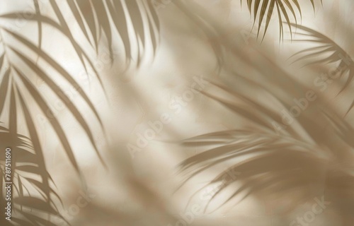 Shadow of Palm Tree Leaves on Wall