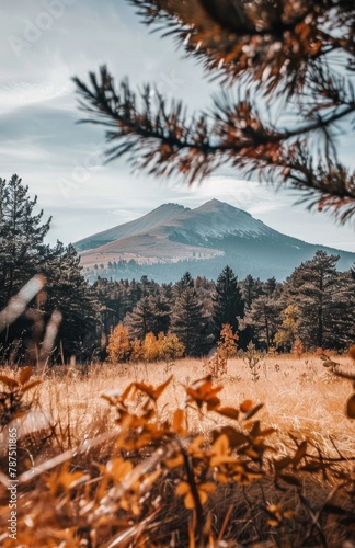 Mountain View Through Trees
