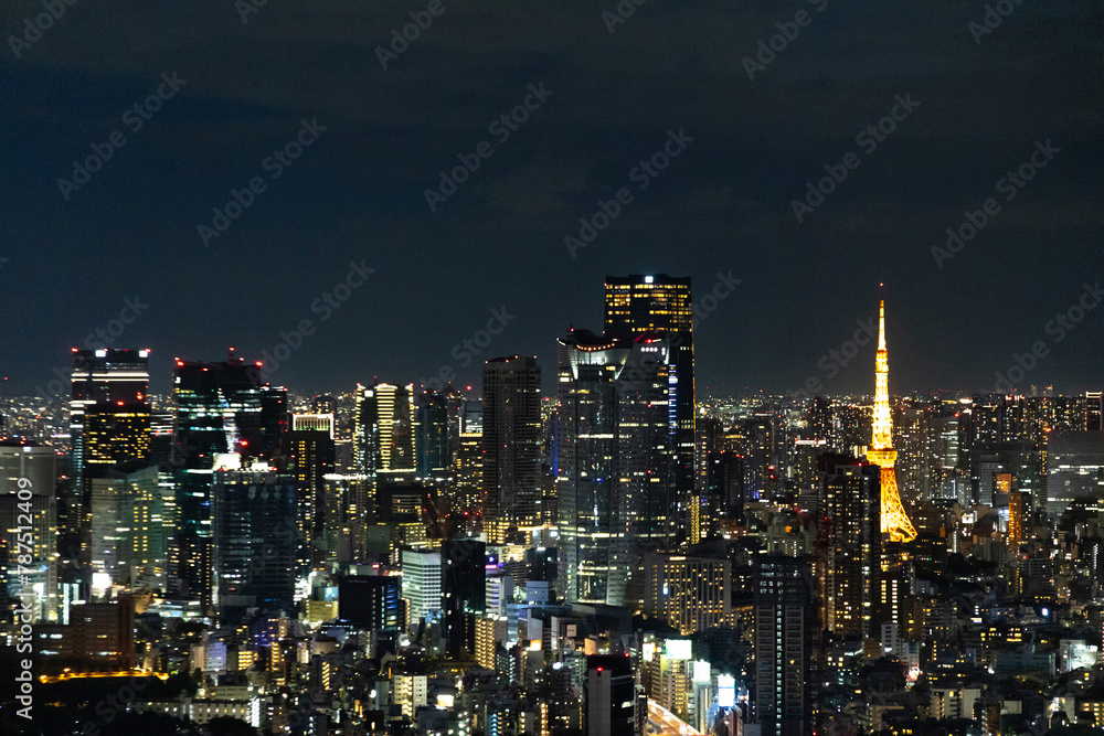 Fototapeta premium Tokyo Skyline at Night