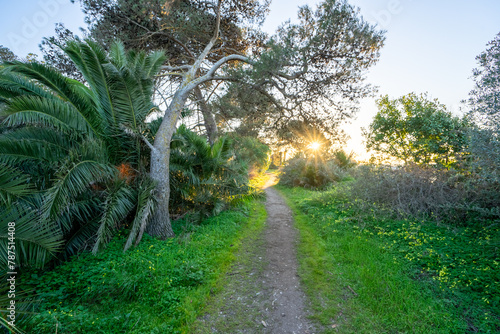 Abandoned area with lush vegetation at the braamcamp farm in the portuguese city of Barreiro-Portugal photo