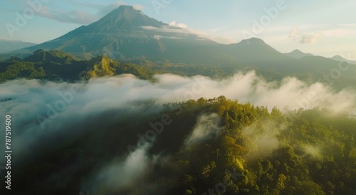 Aerial View of Forest With Mountain Background