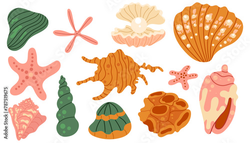 Set of seashells and starfishes. Pearl corral and snail shells. Sea life elements. Vector illustration sea set for poster, card, scrapbooking , stickers. photo