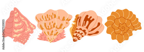 Set of seashells and starfishes. Pearl corral and snail shells. Sea life elements. Vector illustration sea set for poster, card, scrapbooking , stickers.