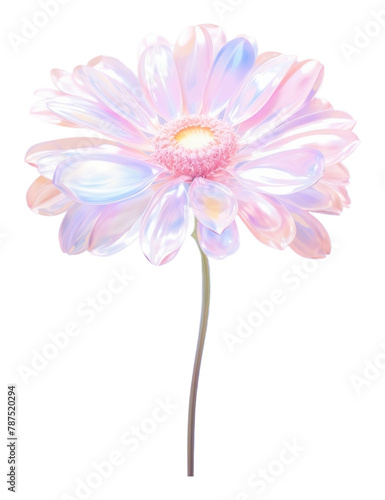 PNG  Daisy flower outdoors nature petal.