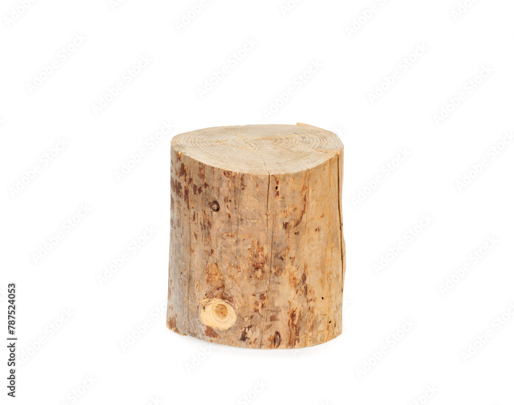 Wooden log isolated on a white background Wooden log isolated on a white background
