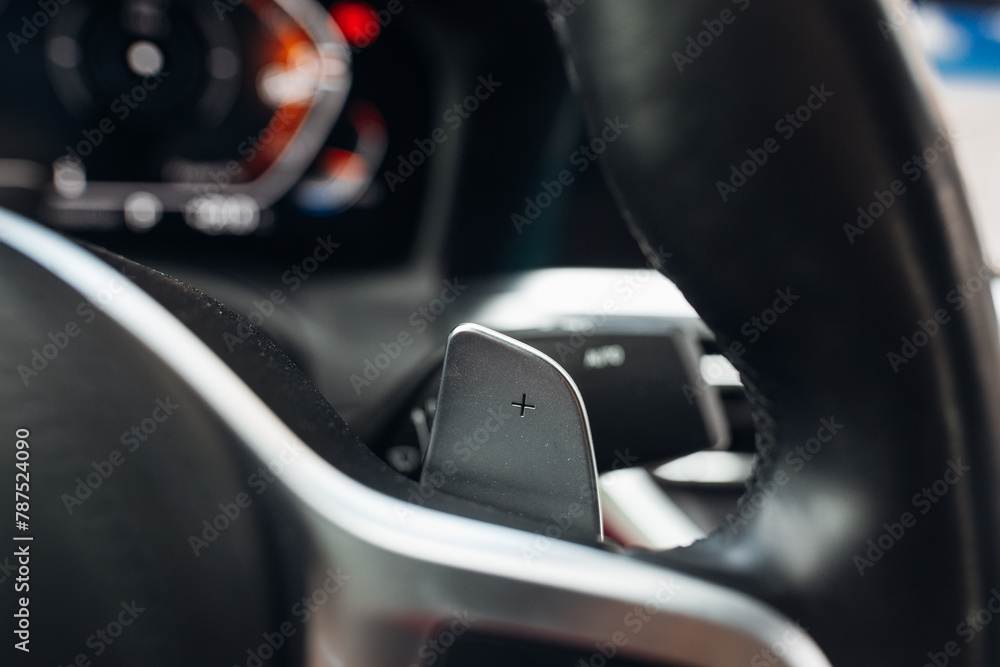 Lobes of the gear selector on the steering wheel