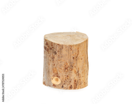 Wooden log isolated on a white background