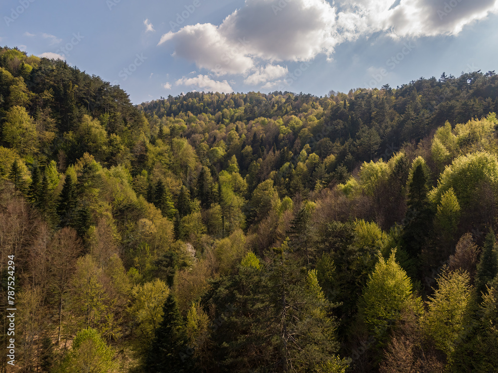 Aerial view of the woodland landscape with different colour tones in spring season. Mezit, Inegol, Bursa, Turkey.