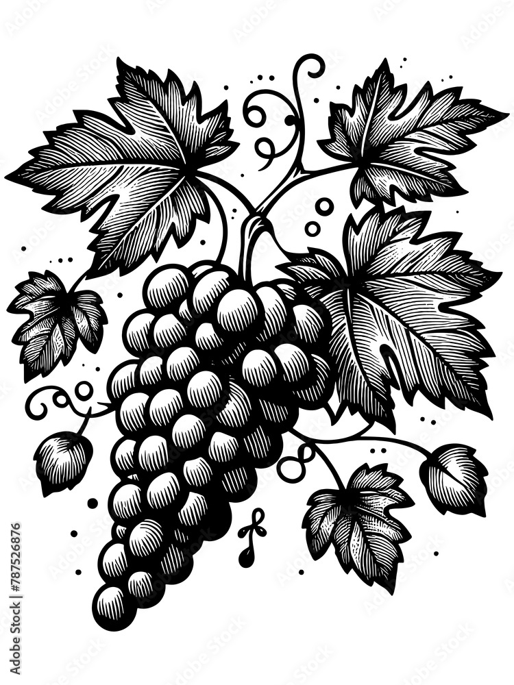 Obraz premium Grape branch hand drawing vintage style black and white. Sketch board. Raster, generative ai.