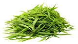 PNG Green tea plant grass herbs