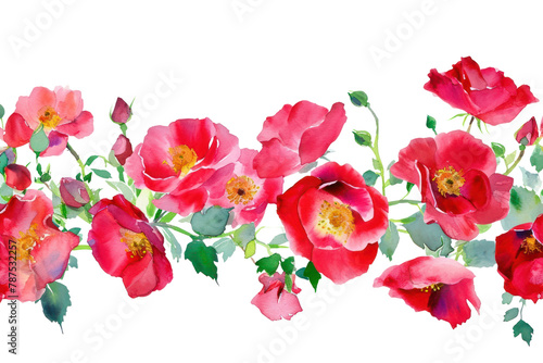 PNG Blooming redroses garden flower nature petal