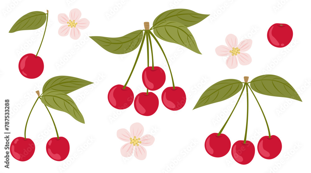 Summer set in flat style of cherries on a white background. Vector illustration of twigs with berries, leaves and flowers Summer set in flat style of cherries on a white background. Vector illustration of twigs with berries, leaves and flowers
