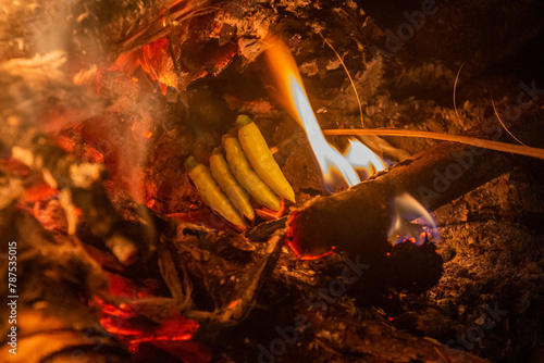 Chilli peppers being prepared in the fire near Luang Namtha, Laos