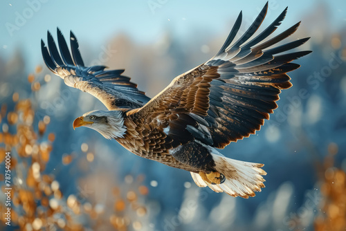 majestic eagle soaring over wintry landscape, showcasing its impressive wingspan and the serene beauty of nature photo