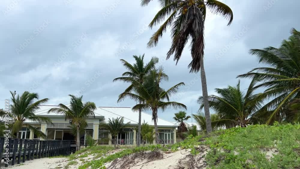 Varadero, Cuba, 03.12.2023. Coconut palm leaves sway in the wind on the territory of a hotel with white buildings in Cuba. Vacation on the Caribbean coast on Liberty Island. 4К Varadero, Cuba, 03.12.2023. Coconut palm leaves sway in the wind on the territory of a hotel with white buildings in Cuba. Vacation on the Caribbean coast on Liberty Island. 4К