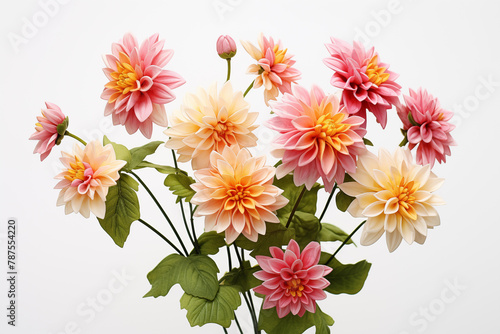 Flowers on white background. Topics related to flowers. Jobs related to flowers. Flower news. Spring and summer season. Image for graphic designer.