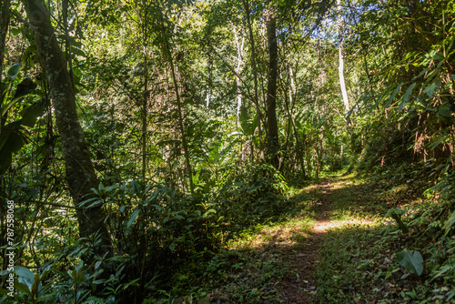 Trail to Pagnueng waterfall in Nam Ha National Protected Area, Laos