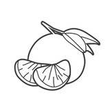 Linear icon of a mandarin, vector illustration in black and white. Citrus fruit symbol in simple style.