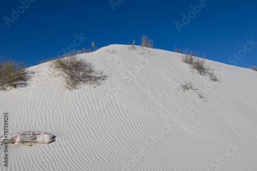Sand dunes at White Sands National Park, New Mexico
 photo