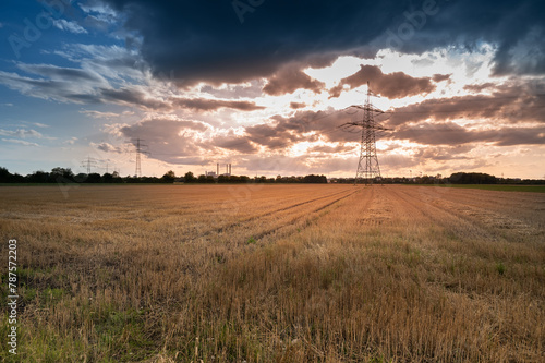 Sunset over the wheat fields in Munich, Germany