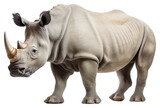 PNG Rhino wildlife animal mammal. 