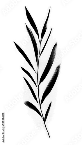 PNG Rosemary leave pattern plant line. 