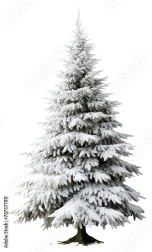 PNG Tree christmas plant white.  © Rawpixel.com