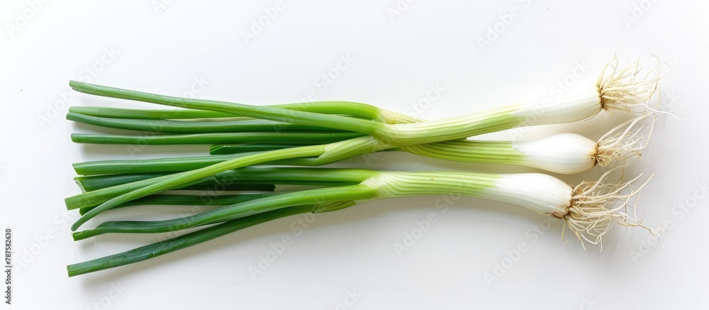 Green onion set against a white backdrop Green onion set against a white backdrop