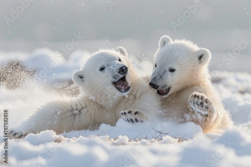 Playful polar bear cubs frolicking in the Arctic snow, Behold the heartwarming sight of polar bear cubs as they romp and tumble through the pristine white landscape of the Arctic © SaroStock