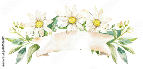 PNG Ribbon with daisy border flower plant white