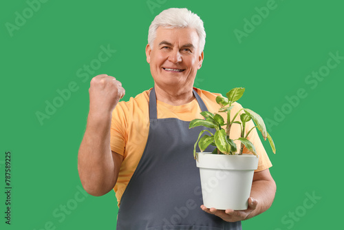 Happy mature gardener with plant on green background