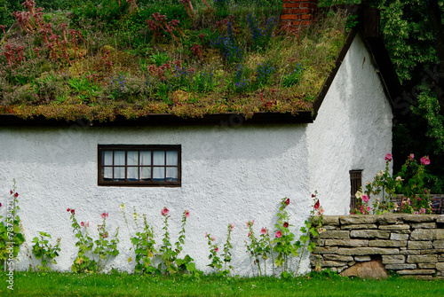 Old white chalked stone building with a small window and with hollyhock flowers against the wall and plants on the roof. photo