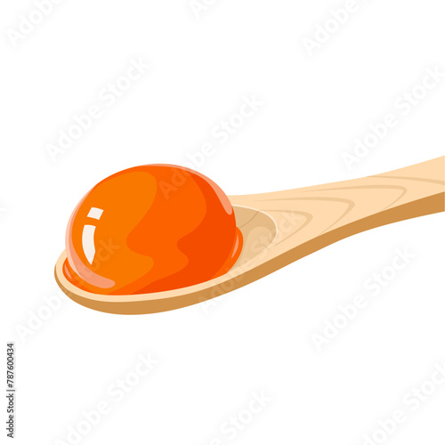 Vector illustration, salted egg yolk on a wooden spoon, isolated on white background.