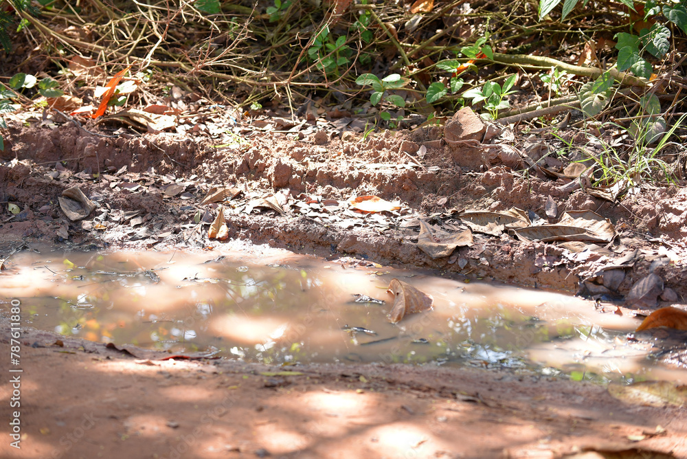 Obraz premium abandoned in a vase with stagnant water inside. close up view. mosquitoes in potential breeding ground.