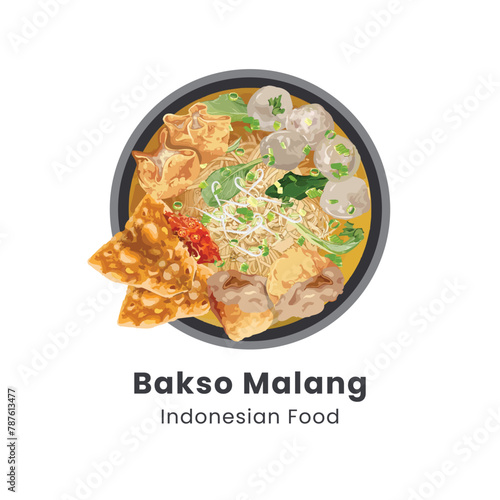 Hand drawn vector illustration of Bakso Malang or Meatballs soup served with noodles, tofu and fried dumpling (pangsit) traditional Indonesian food