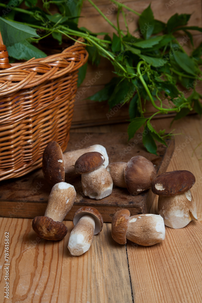 Several porcini mushrooms on wooden background at autumn season.. Several porcini mushrooms on wooden background at autumn season..