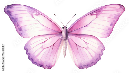 PNG  Small butterfly animal insect white background. AI generated Image by rawpixel. © Rawpixel.com
