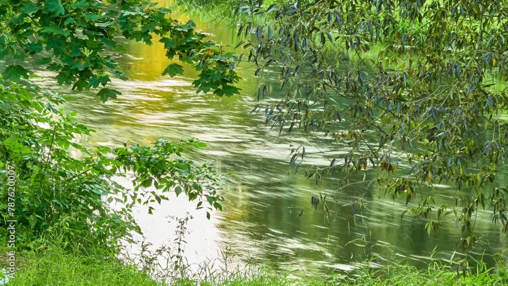 Picturesque fast river. Summer nature. Green violent vegetation on river bank. Picturesque fast river. Summer nature. Green violent vegetation on river bank.