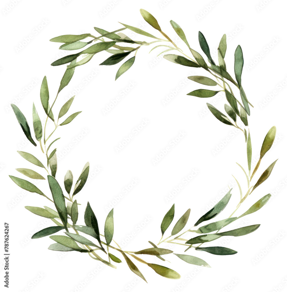 PNG Illustration olive branch watercolor hand drawn.