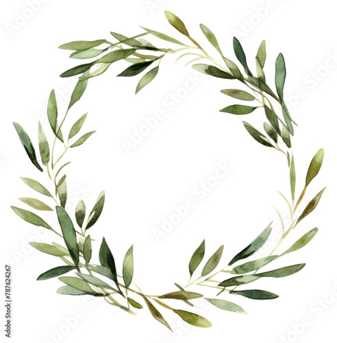 PNG Illustration olive branch watercolor hand drawn.