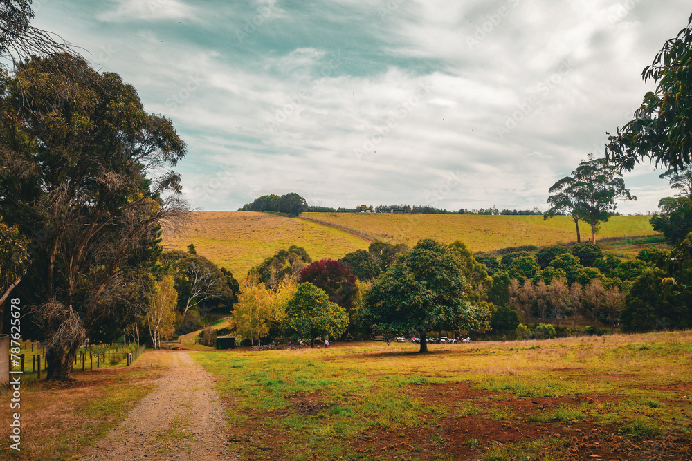 Fototapeta premium landscape in autumn