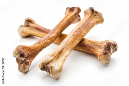 Dog bones on white background